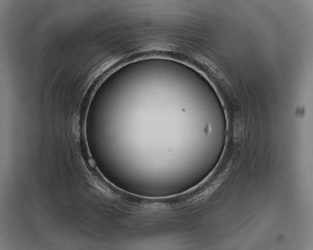 X0000098051113200803281448