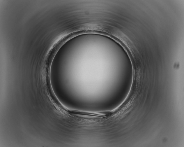 X0000098051115200803281448