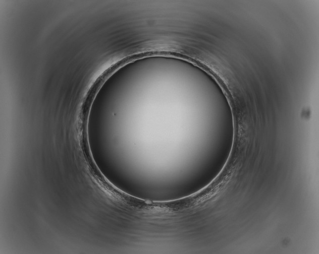 X0000098051119200803281448