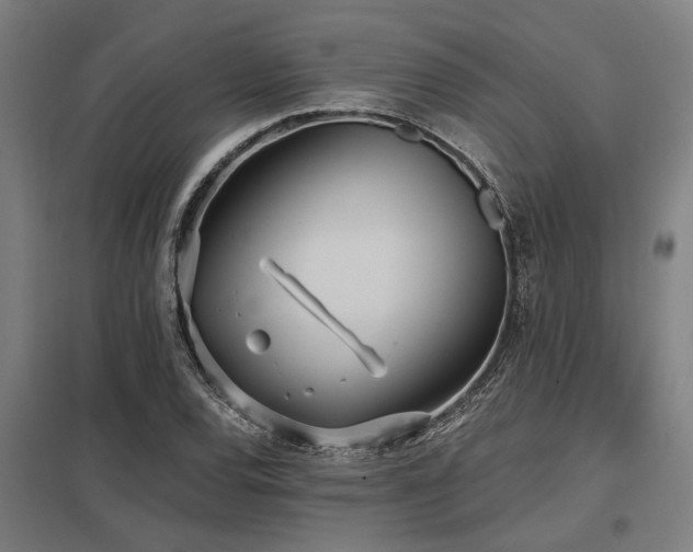 X0000098051120200803281448