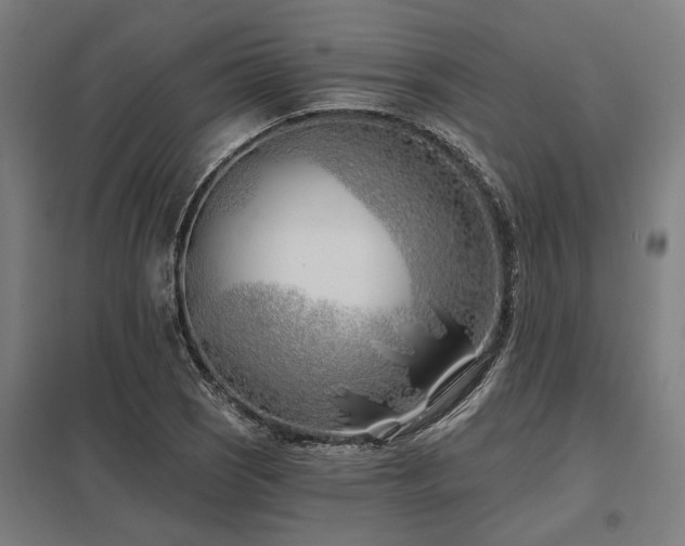 X0000098051121200803281448