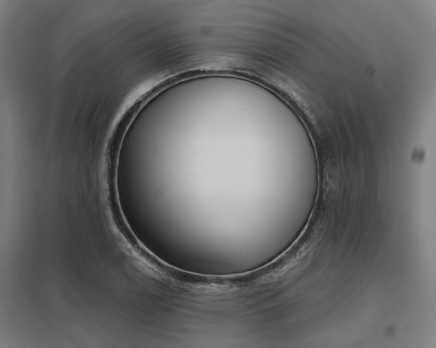 X0000098051122200803281448