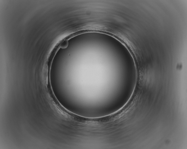X0000098051123200803281448
