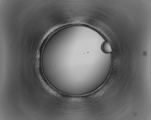 X0000098051126200803281448