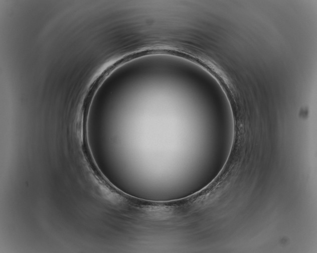 X0000098051127200803281448