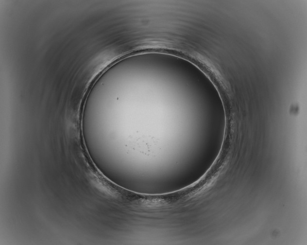X0000098051129200803281448