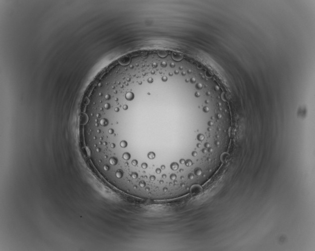X0000098051130200803281448