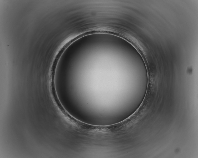 X0000098051133200803281449