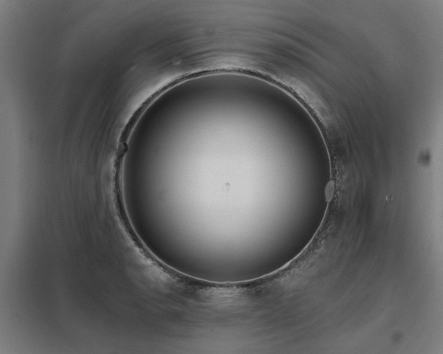 X0000098051134200803281449