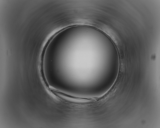 X0000098051136200803281449