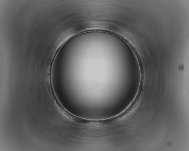 X0000098051137200803281449