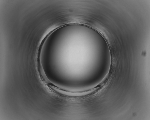 X0000098051138200803281449
