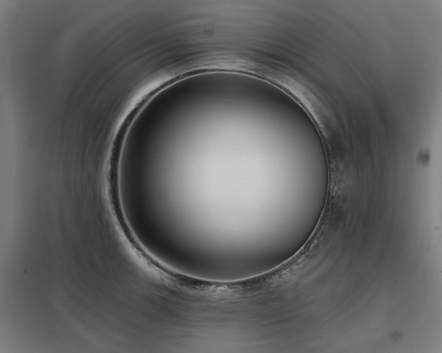 X0000098051139200803281449