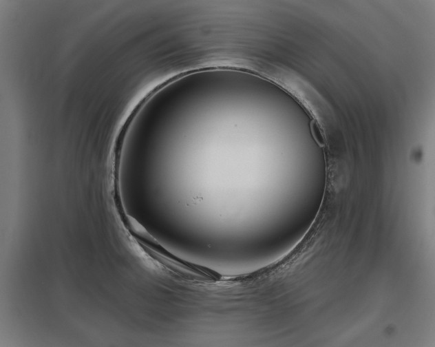X0000098051140200803281449