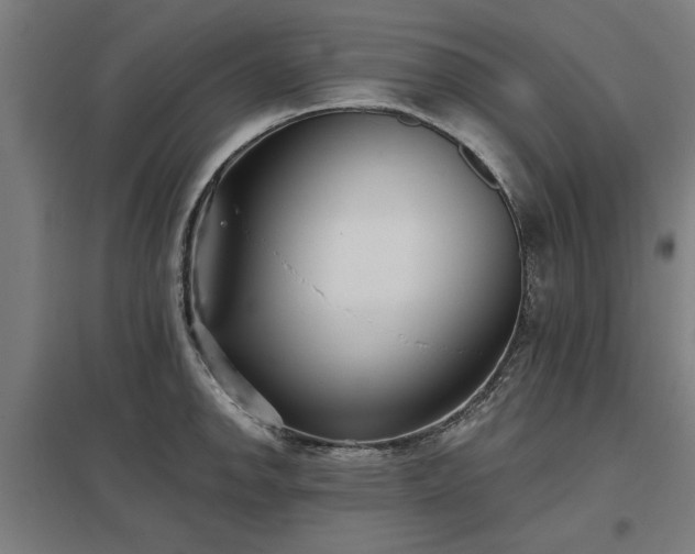 X0000098051142200803281449