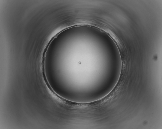 X0000098051143200803281449