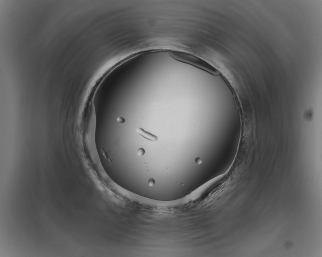 X0000098051144200803281449