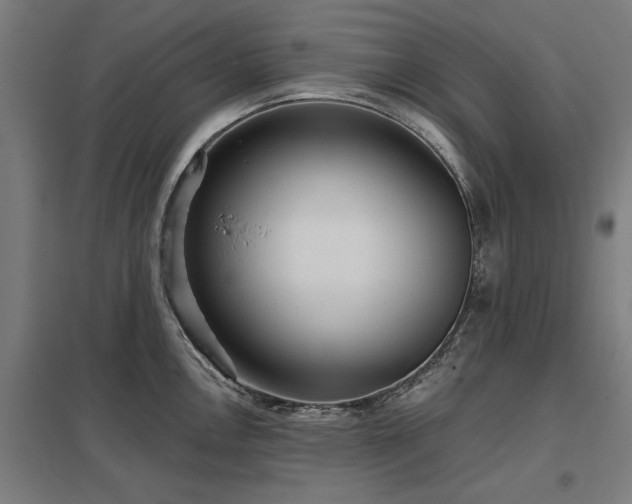 X0000098051146200803281449