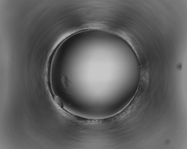 X0000098051147200803281449