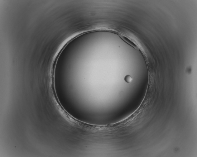 X0000098051148200803281449