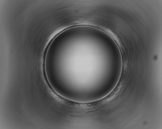 X0000098051149200803281449
