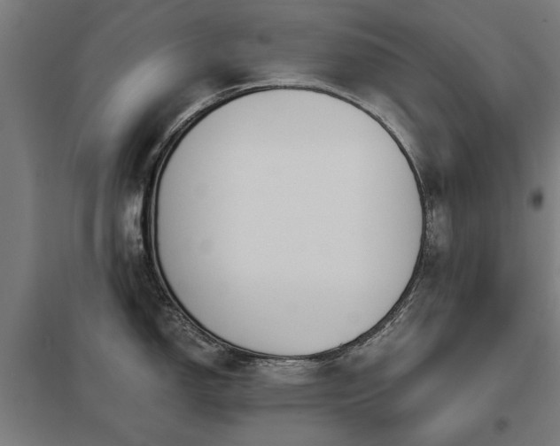 X0000098051150200803281449