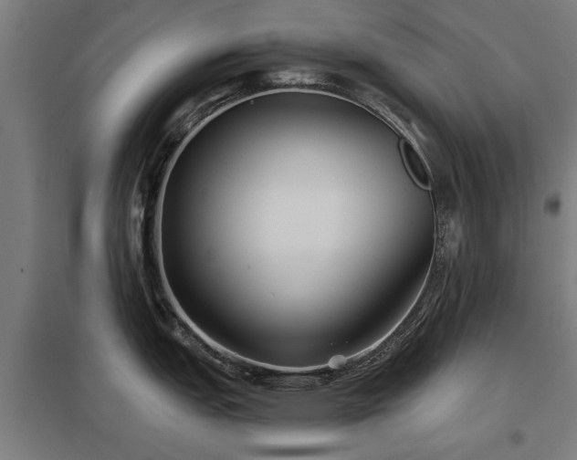 X0000098051151200803281449