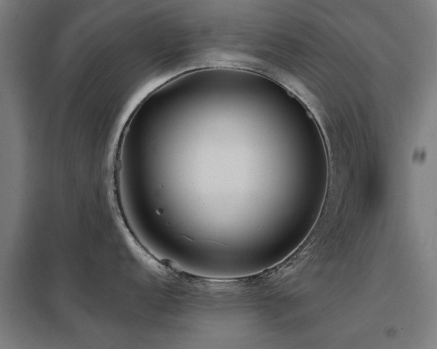 X0000098051152200803281449