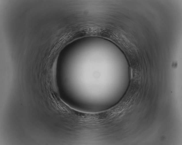 X0000098051153200803281448