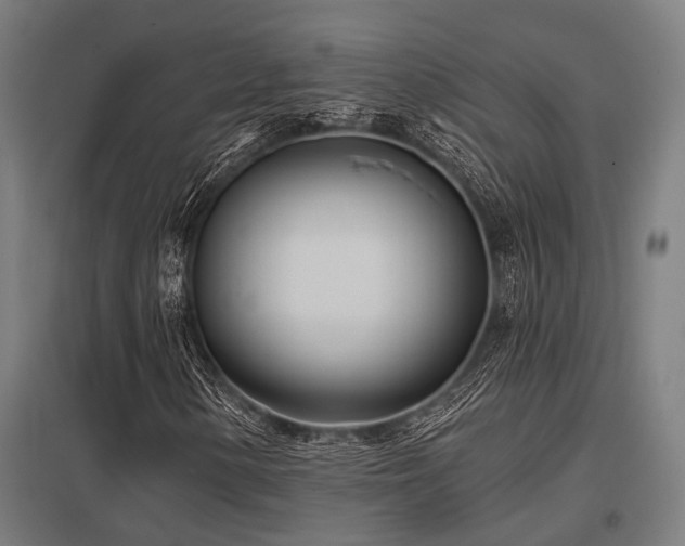 X0000098051154200803281448