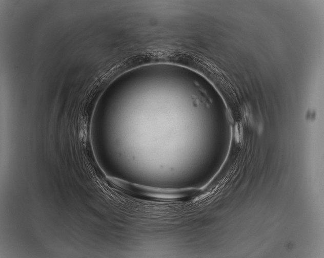 X0000098051155200803281448