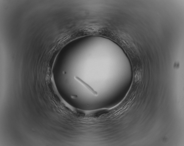 X0000098051156200803281448