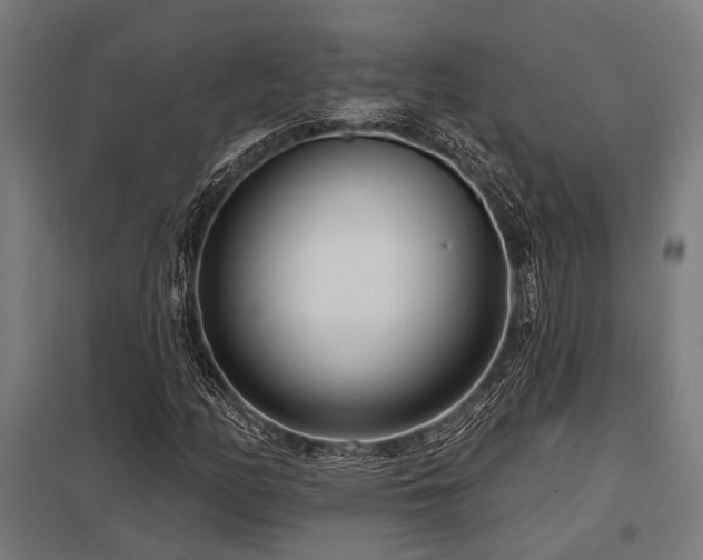 X0000098051158200803281448