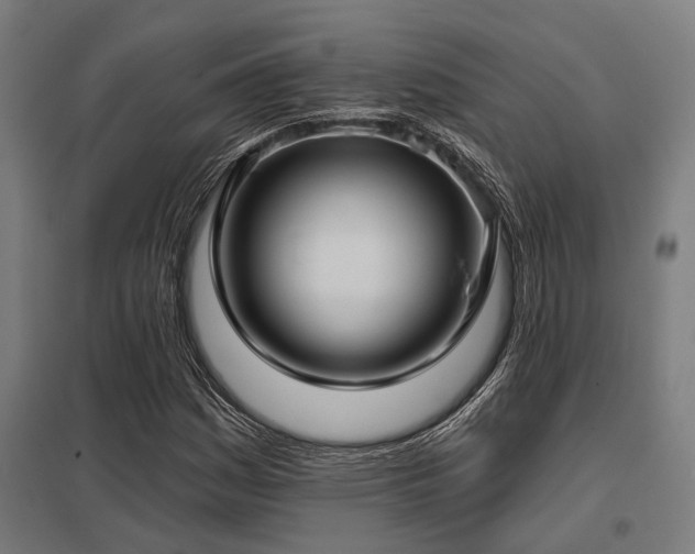 X0000098051161200803281448