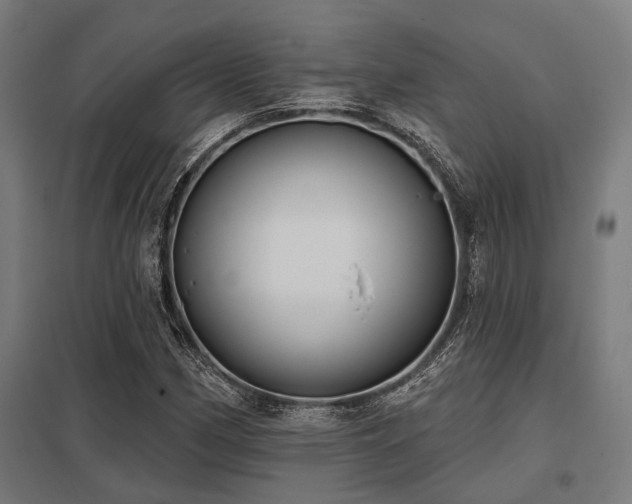 X0000098051162200803281448