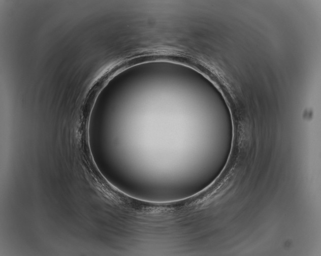 X0000098051163200803281448