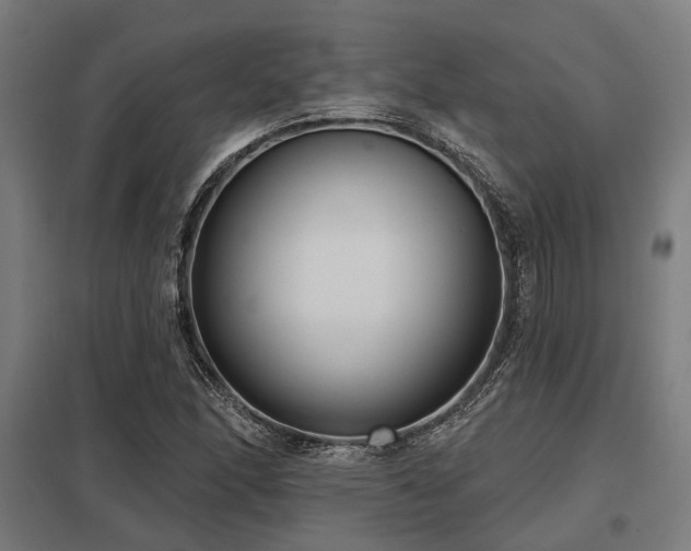 X0000098051166200803281448