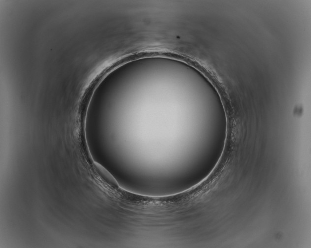X0000098051167200803281448