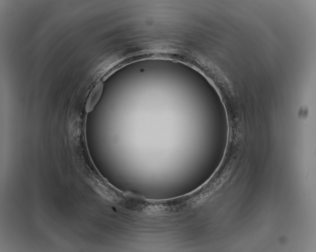 X0000098051169200803281448