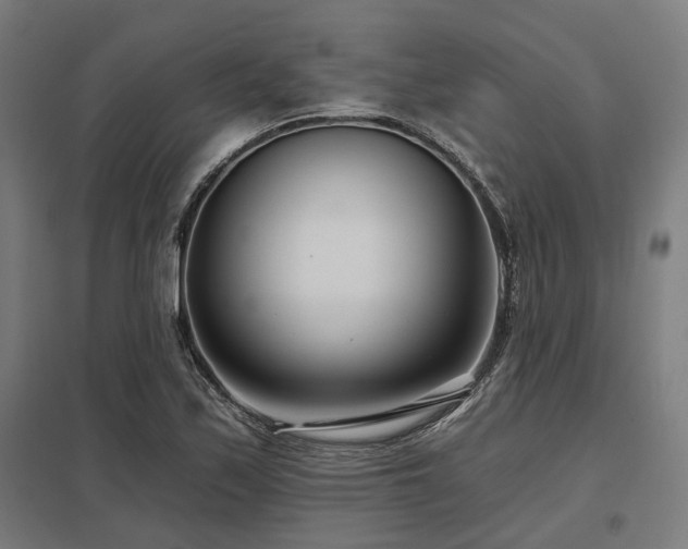 X0000098051171200803281448
