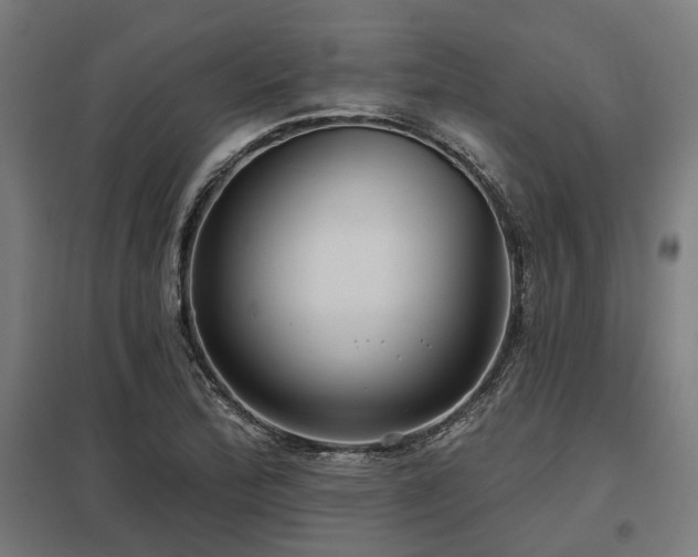 X0000098051172200803281448