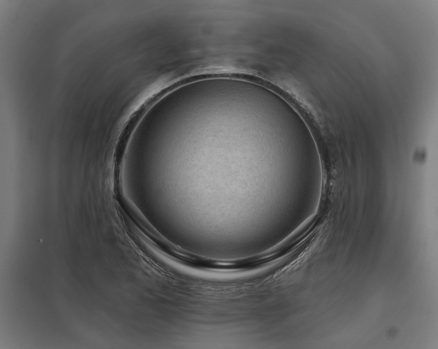 X0000098051173200803281448