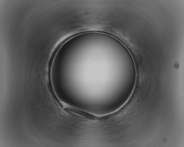 X0000098051174200803281448