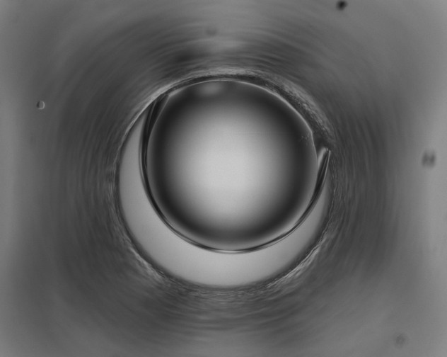 X0000098051177200803281448