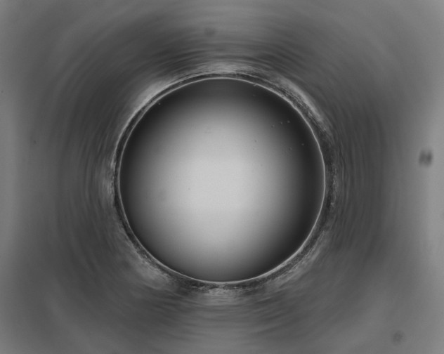 X0000098051178200803281448