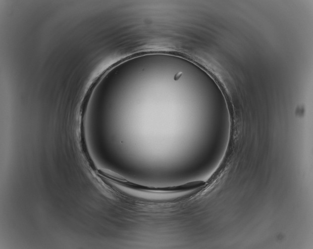 X0000098051179200803281448