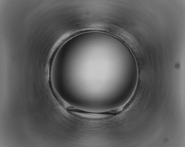 X0000098051180200803281448