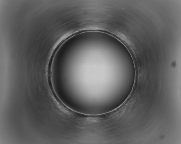 X0000098051181200803281448