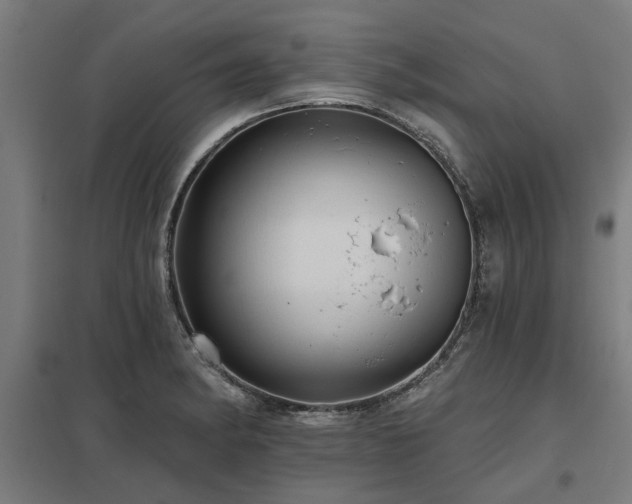 X0000098051182200803281448