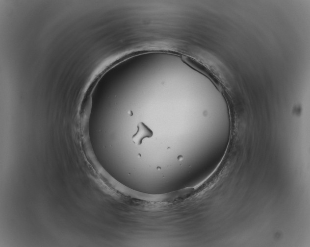 X0000098051184200803281448